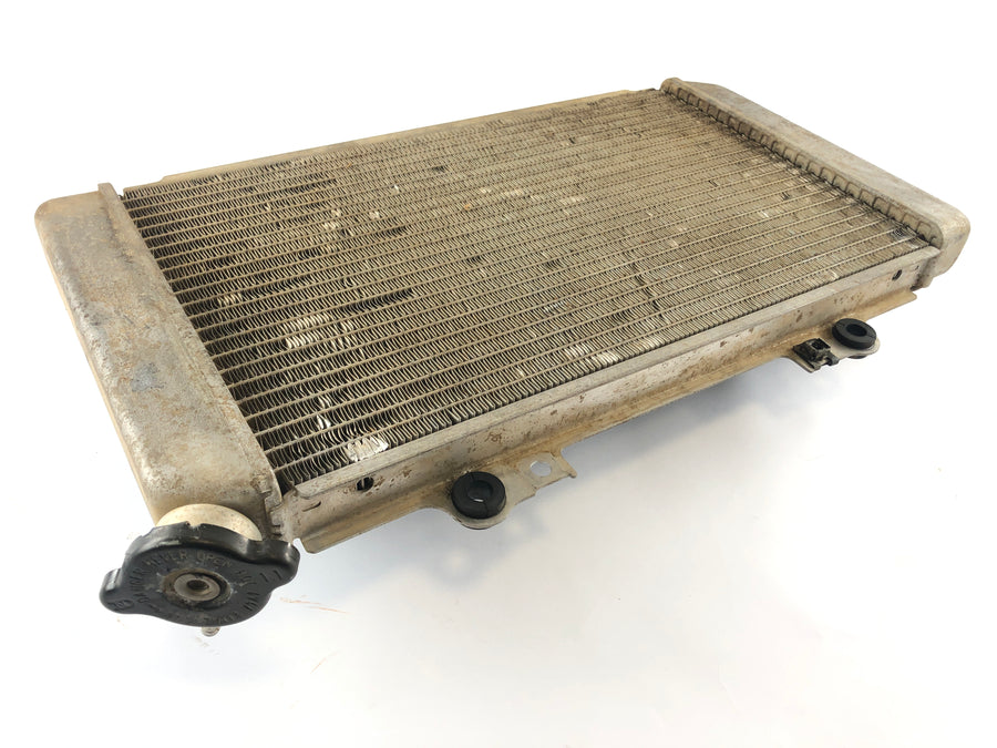 Yamaha Grizzly 660 AM03W [2003] - Radiateur d'eau