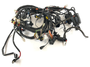Aprilia RSV 1000 RR Factory [2009] - Wiring harness - 0