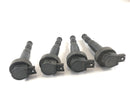 BMW K 1300 R [2010] - Ignition Coil Set-3