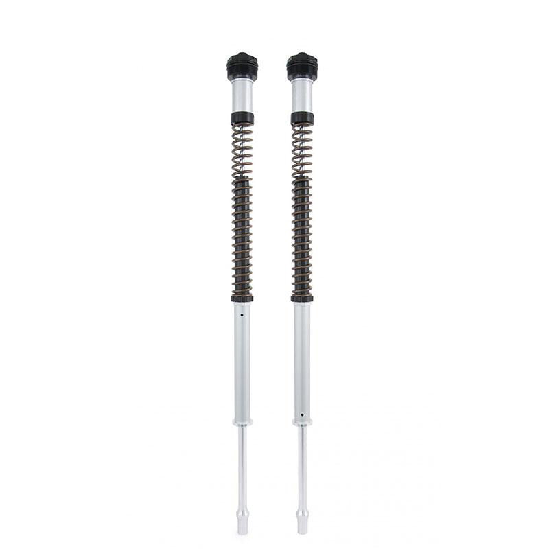 BMW R nineT 1200 Urban G/S (hoher Auspuff) [2017-2023] - Ohlins Gabelkartuschen Nix 22 BMW R NineT (2016-2023)