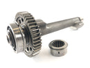 Triumph Street Triple R 675 D67LD [2008] - Balance shaft-4
