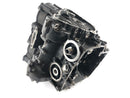 Triumph Street Triple R 675 D67LD [2008] - Engine housing with piston-8