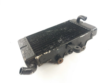 Honda Africa Twin XRV 650 RD03 [1989] - Radiator Water Cooler - 0