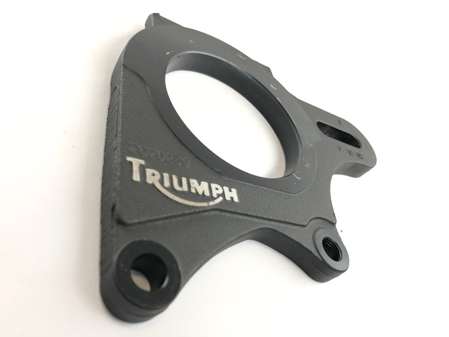 Triumph Daytona 955i T595N [2001] - Plaque d'ancrage de frein