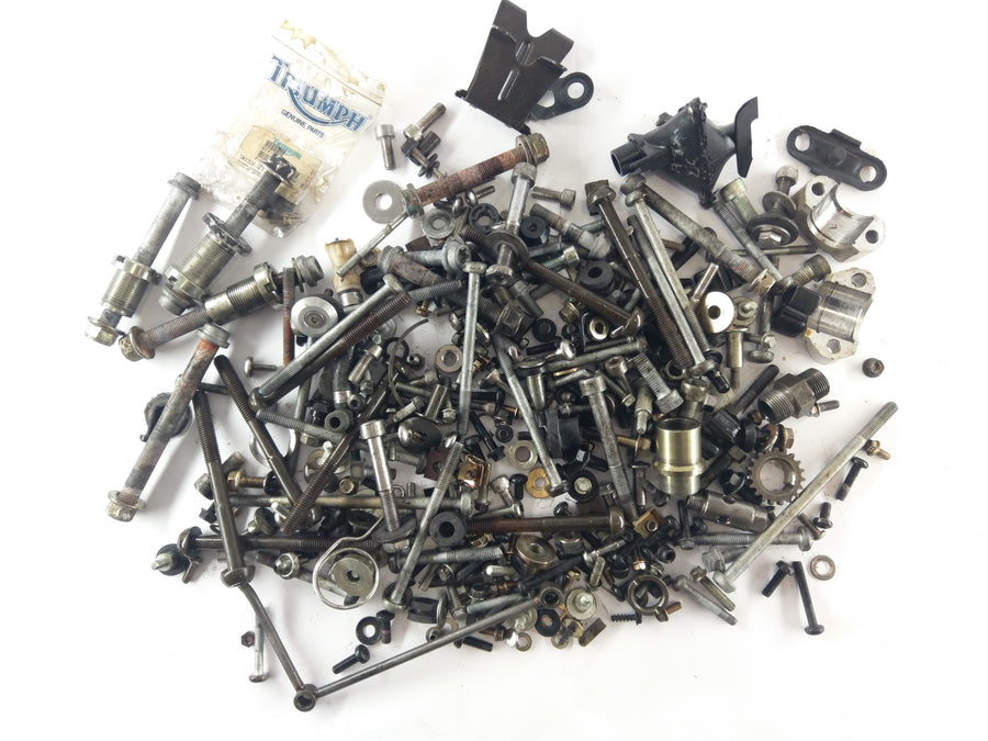 Triumph Sprint 955i RS T695 [2000] - Remnants and Screws Lot