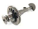 Triumph Daytona 955i T595 [2001] - balance shaft-3