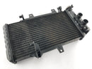 BMW F 800 S [2007] - Radiator Water Cooler-2