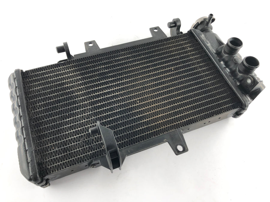 BMW F 800 S [2007] - Radiator Water Cooler