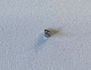 Rolex Calibre 2030 [Datejust 26mm] - 54414 Vis pour pont d'ancrage-2