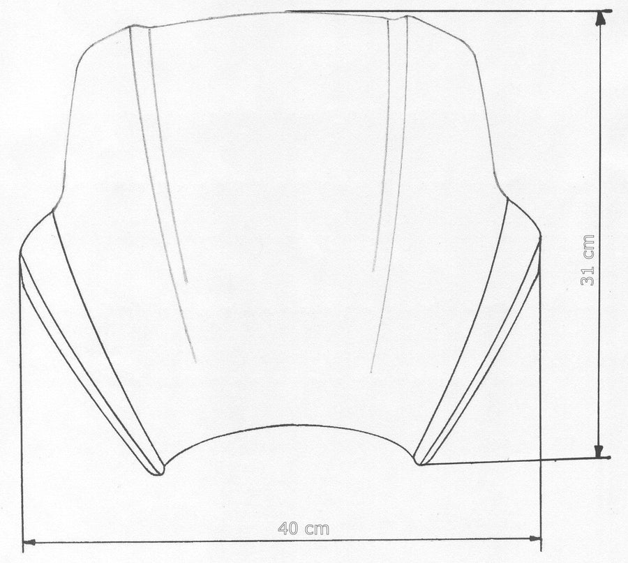 BMW SPEED-SCREEN FOR NAKED BIKE – Speed-Screen for Naked-Bikes "SPS"